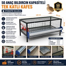 Kanatlı Malzemeleri Bıldırcın Kafesi Metal 50-60 Anaç Otomotik Suluk Yemlik Yumurta Eğilimli