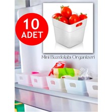 St. Morritz 10'lu Set Buzdolabı Düzenleyici, Kapak ve Raf Içi Çok Amaçlı Organizer