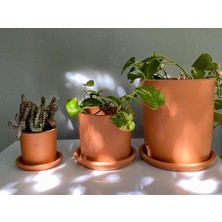 Terracotta Silindir Saksı+Tabak • Pembenin Tonları (Küçük)