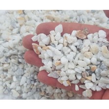 Asenya Akvaryum Taşı 1 kg 0,5-1 cm Karışım Renkli Teraryum Taşı Dekoratif Taş