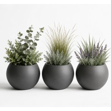 Zevli Japandi Tarzı Modern Küre Saksı 3'lü Set - Su Sızdırmaz Dekoratif Salon ve Balkon Saks�