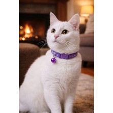 Kedi Boyun Tasması Zilli ve Ayarlanabilir Mor
