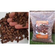 Asenya Pomza 5 Litre 3-8 mm Kırmızı Pomza Taşı Lav Taşı Volkanik Ponza
