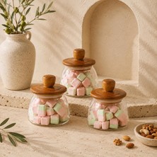 3'lü Set 500 ml Akasya Kapaklı Vakumlu Cam Kavanoz Saklama Kabı, Kahve Kuruyemiş Baharat ve Erza