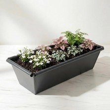 Metal Dikdörtgen Balkon Saksılığı - 53 cm Paslanmaz Galvaniz Dekoratif Yatay Çiçeklik (Antras