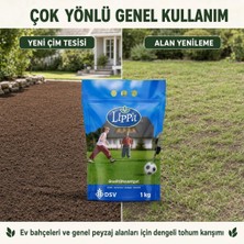 Lippa Lisuna 6 Mix Çim Tohumu, Genel Kullanım ve Bakımı Zor Alanlar Için 6 Bileşenli Karış�