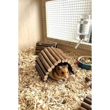 Doğal Ahşap Hamster Tünel Köprü & Yuva