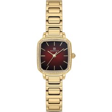 Momentus Women's Shiny SS398G-14SG
