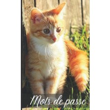 Kazan Hobi Mots De Passe: Carnet De Mots De Passe Chaton Roux Pour Enregistrer Vos Identifiants Internet Par Ordre Alphabétique | Format 12,7 cm x 20,3 cm | Cadeau Pour Amoureux Des Chats Et Félins.