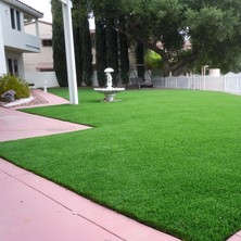 İNTFA Çim Tohumu 6 Mix Grass Karışımı - 10 kg