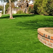 İNTFA Coria Grass Basmaya Dayanıklı Çim Tohumu - 10 kg