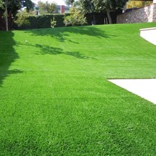 İNTFA Çim Tohumu 7 Mix Grass Karışımı - 1 kg