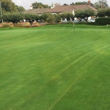 İNTFA Golf Mix Grass Çim Tohumu - 10 kg