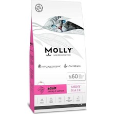 Kazan Hobi Molly Karidesli Hypoallergenic Somonlu Yetişkin Kedi Maması 2 kg