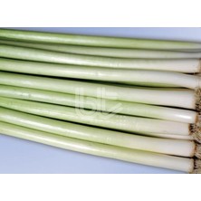 Bursa Tohum Bt Hotanlı Pırasa Tohumu 10 Gr.