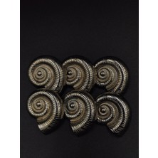 Nesgo Moda Metal Düğme Salyangoz Kabuğu 28 mm 6 Adet Free Nickel