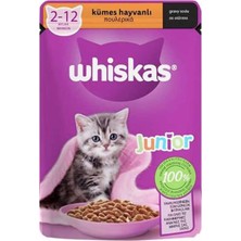 Whiskas Junior Pouch Kümes Hayvanlı Yavru Kedi Yaş Maması 14 x 85 G – Soslu Yaş Kedi Maması