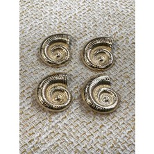 Nesgo Moda Istiridye Model Extra Büyük Gold Düğme Seti(4cm)