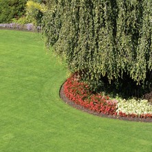 İNTFA Çim Tohumu 5 Mix Grass Karışımı - 10 kg