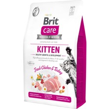 1001 Care Kitten Healthy Gowth & Development, Yavru Kediler, Hamile Veya Emziren Kediler Için, Tahıls�
