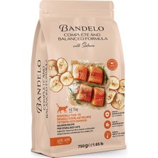 1001 Kısırlaştırılmış Somonlu Yetişkin Kuru Kedi Maması 750 Gram - Vitamin Ilaveli Tam ve Denge