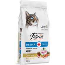 1001 Az Tahıllı 12 kg Yetişkin Somonlu Hypoallergenic Kedi Maması