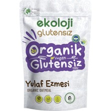 1001 Organik Glutensiz Yulaf Ezmesi 300 gr