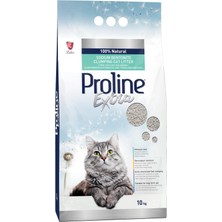 1001 Extra Sodıum Bentonite Gri Bentonit Topaklaşan Kedi Kumu 10 L