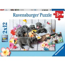 1001 2X12P Puzzle Yavru Köpekler, Çocuk Puzzle