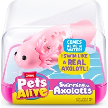 1001 Zuru Pets Alive Yüzme Axolotl Serisi -1 Rastgele Renk