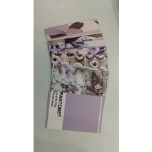 1001 Lila Estetik Duvar Kolaj Seti - 50 Adet Mor Pantone ve Lavanta Tonlarında Fotoğraf Kartları, Gen�
