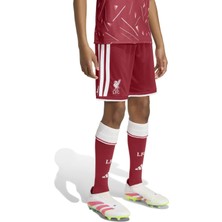 AKB8264 Adidas Lfc H Sho Y &amp;ccedil;ocuk Şort ve Kapri Bordo