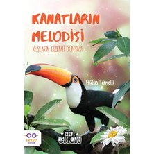 Hatıra Kutusu Kanatların Melodisi - Kuşların Gizemli Dünyası