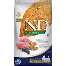 1001 Ancestral Grain Köpek Kuzu, Kılçıksız Buğday, Yulaf & Yabanmersini Yetişkin Mini 2.5 kg