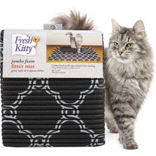 1001 Kedi Kumu