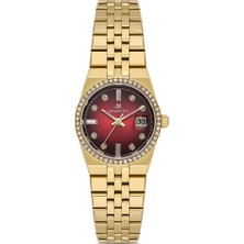 Momentus Women's Shiny Star SS264G-14SG