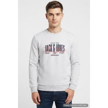Jack & Jones Jjaero Erkek Sweatshirt