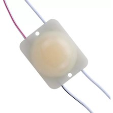 Ozkr Store Powermaster 24 Volt 2.8 Watt Günışığı Cob Modül LED