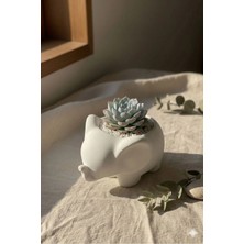 Dekoratif Fil Saksı - Modern Tarz Saksı