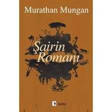 Metis Yayınları Şairin Romanı