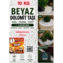 Dogant Beyaz Dolomit Taş 10 kg 1-2 cm Dere Çakıl Bahçe Taşı