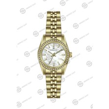 Momentus Women's Shiny SW262G-09SG