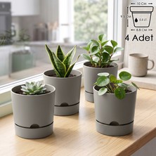 ToXA 4 Adet 0,5 Litre Begonya Saksı Seti 9cm Mat Plastik Drenajlı Tabaklı Çiçek Saksısı Set