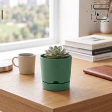 ToXA 0,5 Litre Begonya Saksı 9cm Mat Plastik Drenajlı Tabaklı Çiçek Saksısı