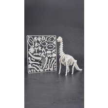 Staau Çocuk 3D Dinozor Iskelet Puzzle – Kur Birleştir Eğitici Dinozor Maketi ve Iskelet Yapbozu - Brachiosaurus