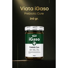 Viata Igaso Prebıotıc Cure 240GR