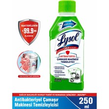 Lysol Antibakteriyel Çamaşır Makinesi Temizleyici Çam ve Okaliptus Ferahlığı 250 ml