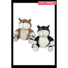 HBG Markt Mey Ithalat® Asabi Sabri Kedi Orijinal Model Tombik Kızgın Kedi 33 cm