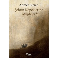 Matra Şehrin Köpeklerine Müjdeler
