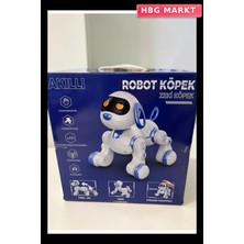 HBG Markt Mey Ithalat® 6601 Uzk Kumandalı Dans Edebilen Robot Köpek